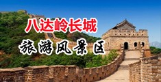 视屏区小说区图片区中国北京-八达岭长城旅游风景区